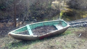 Luff on the banks of Bear Creek
